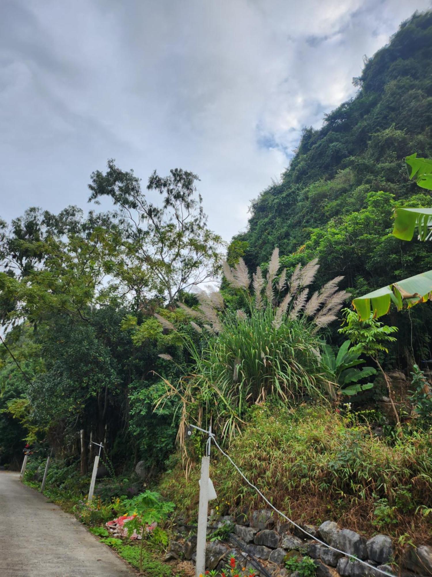 2Stones Cat Ba Homestay Chan Chau Buitenkant foto